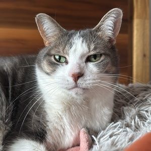 Meet your Posher, Faith